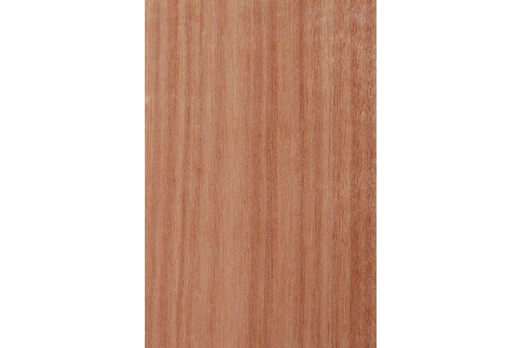 torn drywall 6x 15/8 torchile cj100u